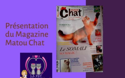 Présentation du Magazine Matou Chat