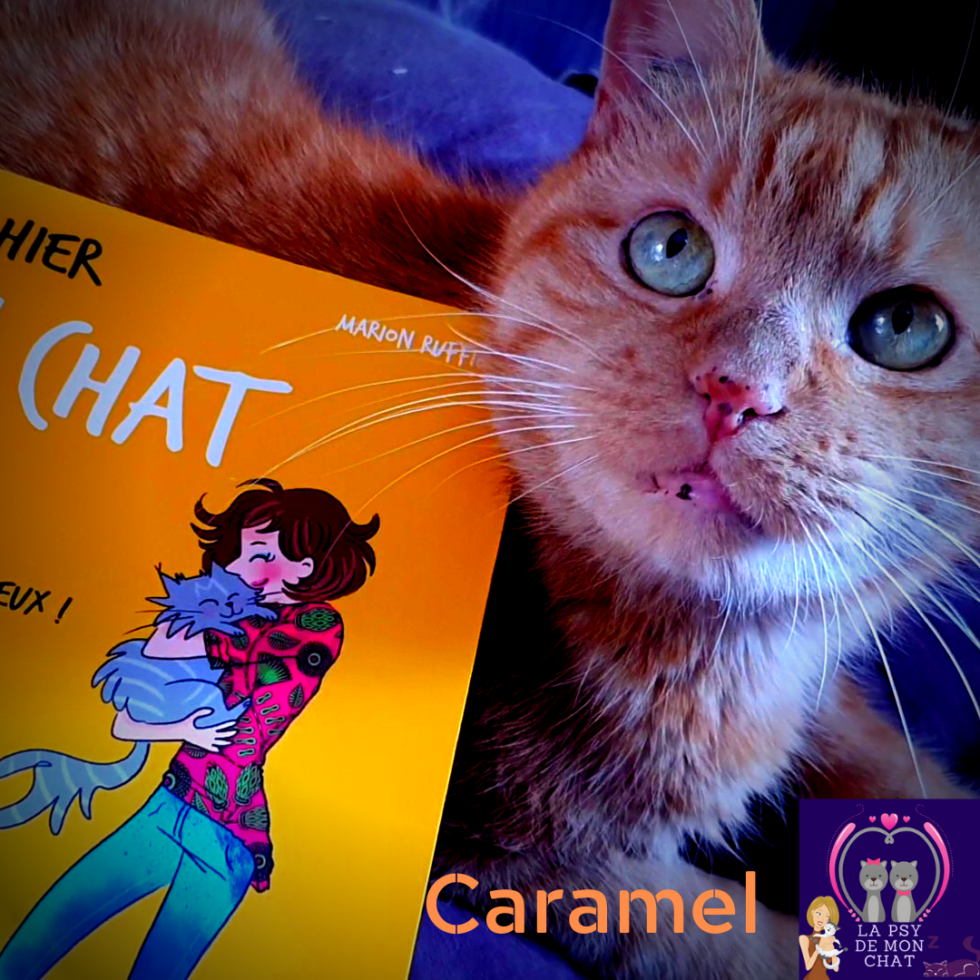 Mon cahier Mon chat & moi, de Marion Ruffié La Psy de mon chat Mon cahier Mon chat & moi, de Marion Ruffié La Psy de mon chat
