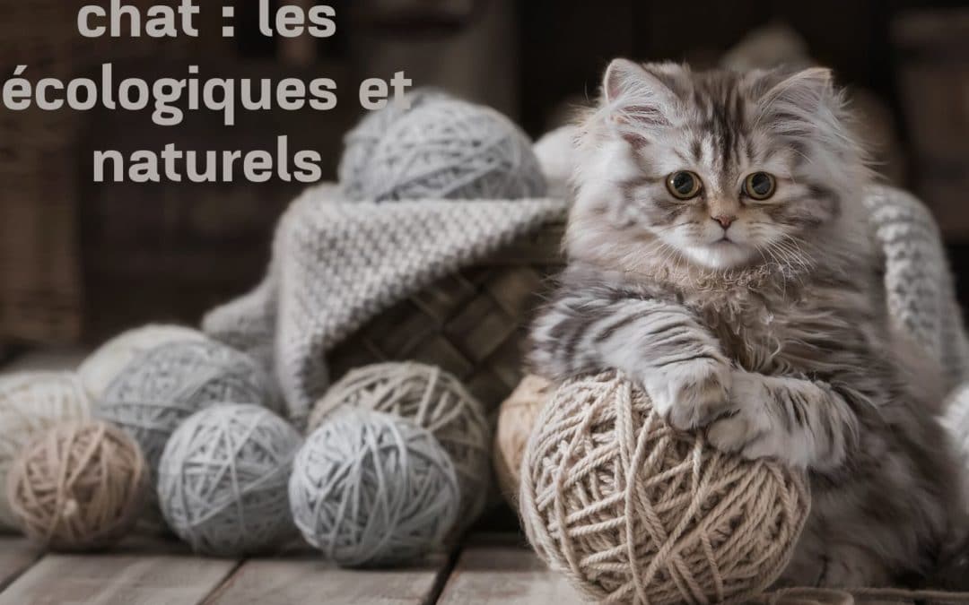 Jouets pour chat :  les écologiques et naturels