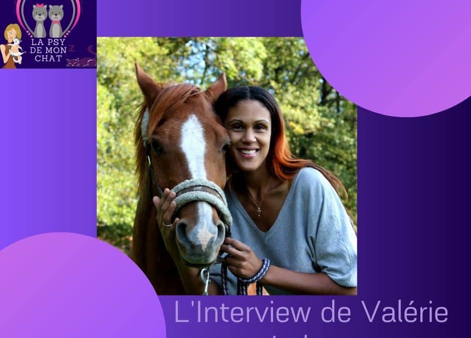 L’ Interview de Valérie Lebon