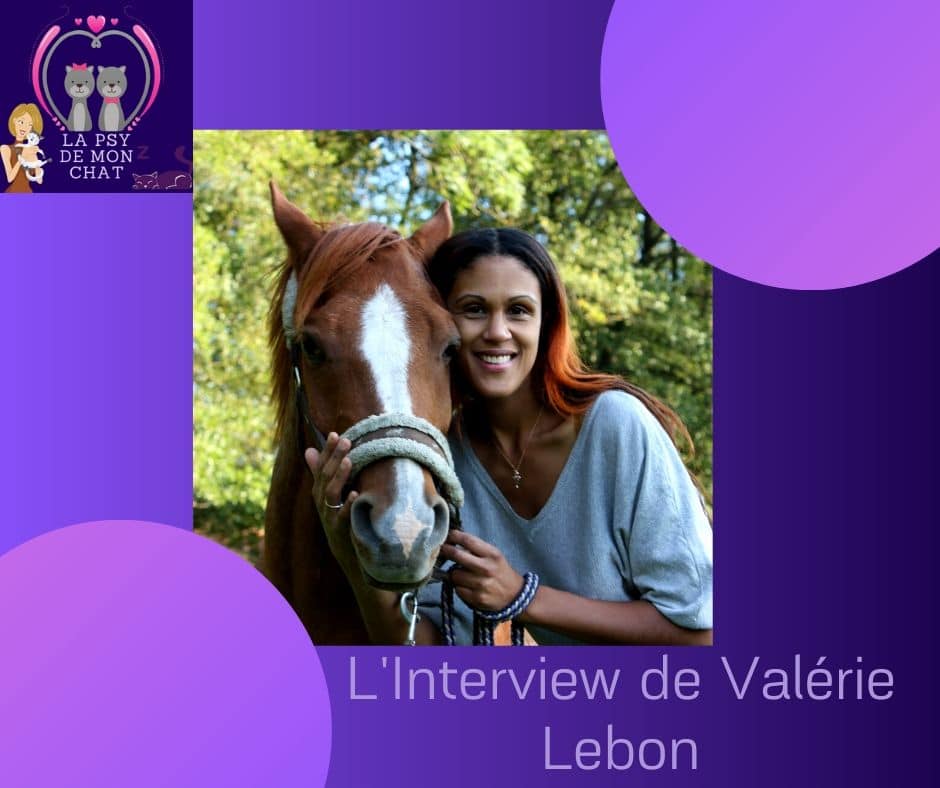 Interview de Valérie Lebon