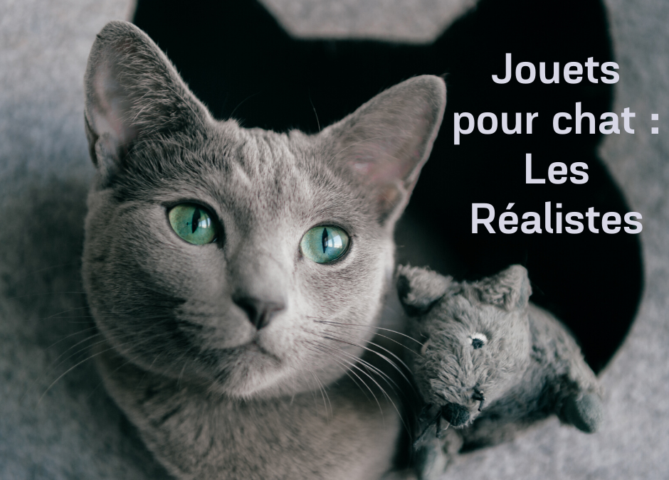Jouets pour chat : les Réalistes