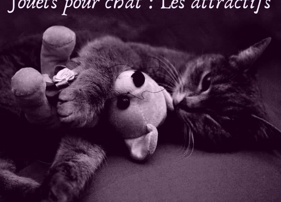 Jouets pour chat : Les attractifs