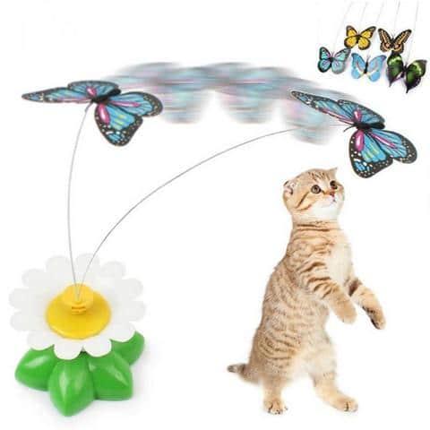 jouet interactif papillon