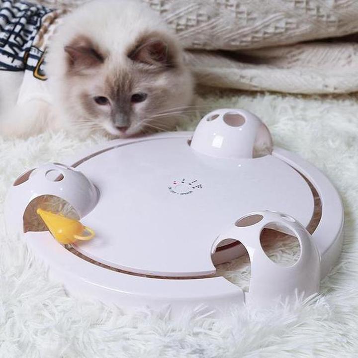 jouet-interactif-souris-pour-chat
