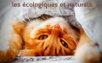 Lits et paniers pour chat : les écologiques et naturels