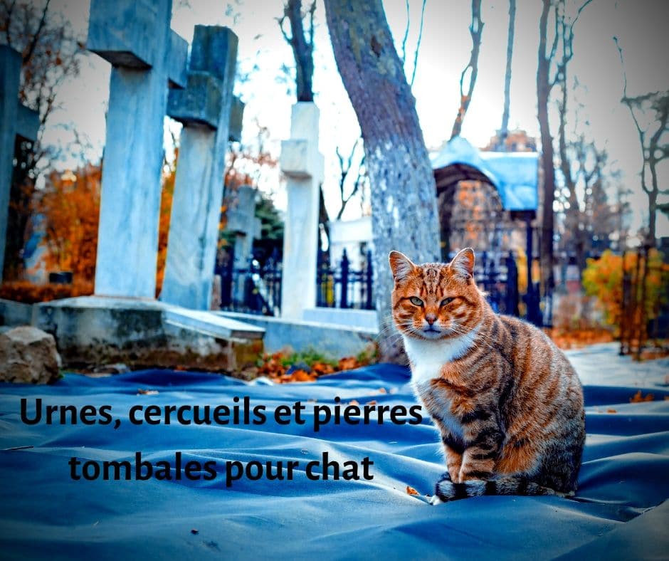 Pierre tombale chat / chaton / félin avec pieu, ornement de tombe, pierre  tombale temporaire, mémorial de jardin, plaque photo personnalisée. -   France