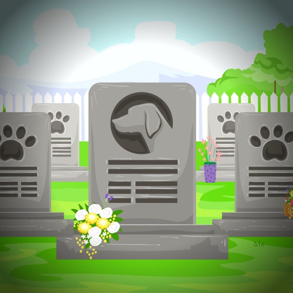 cercueils - cimetière pour chat