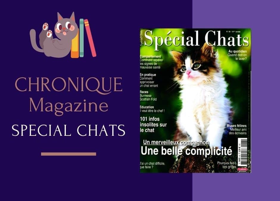 Le Magazine : Spécial Chats