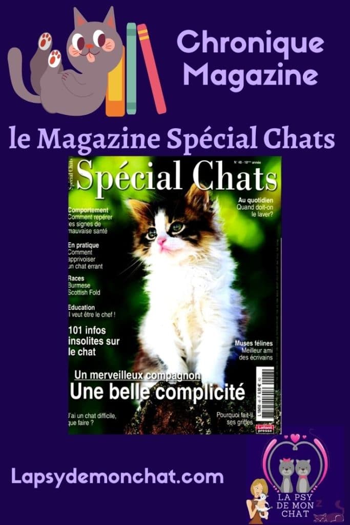 pinterest - magazine spécial chats