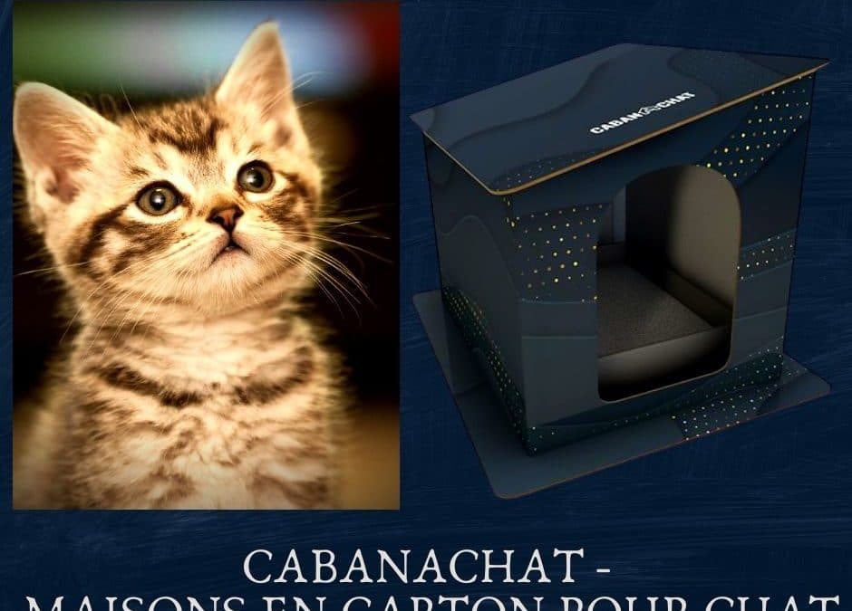 CABANACHAT : Maisons en Carton pour chat