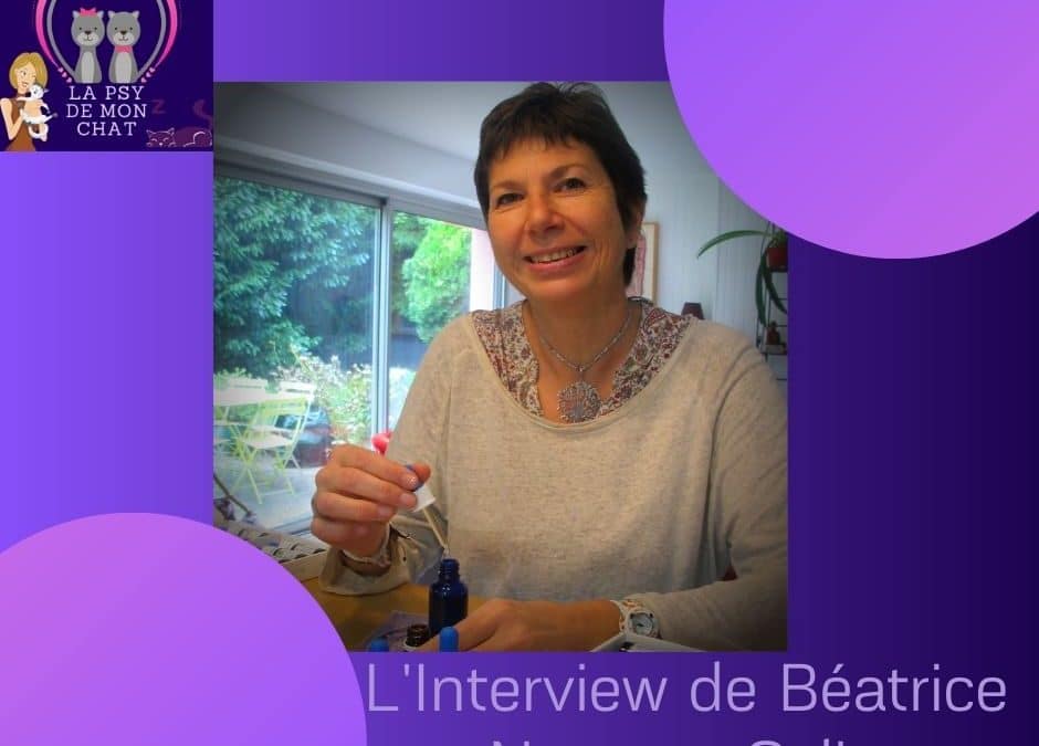 L’Interview de Béatrice Navarre Colin