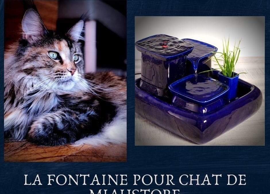 La Fontaine pour chat de Miaustore