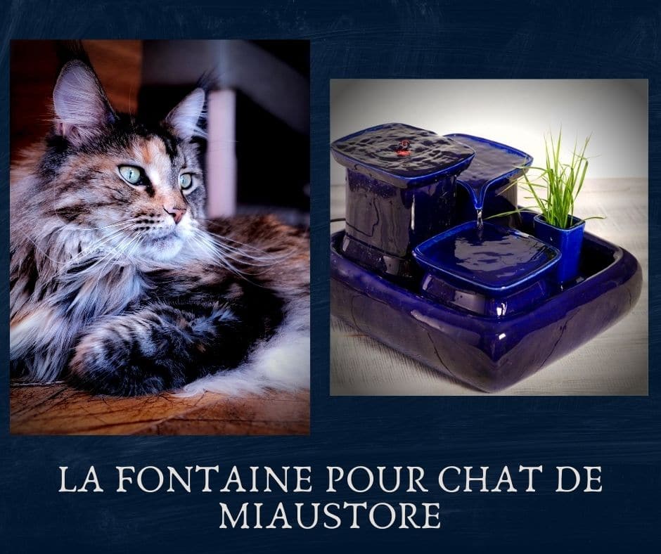 La Fontaine pour chat de Miaustore