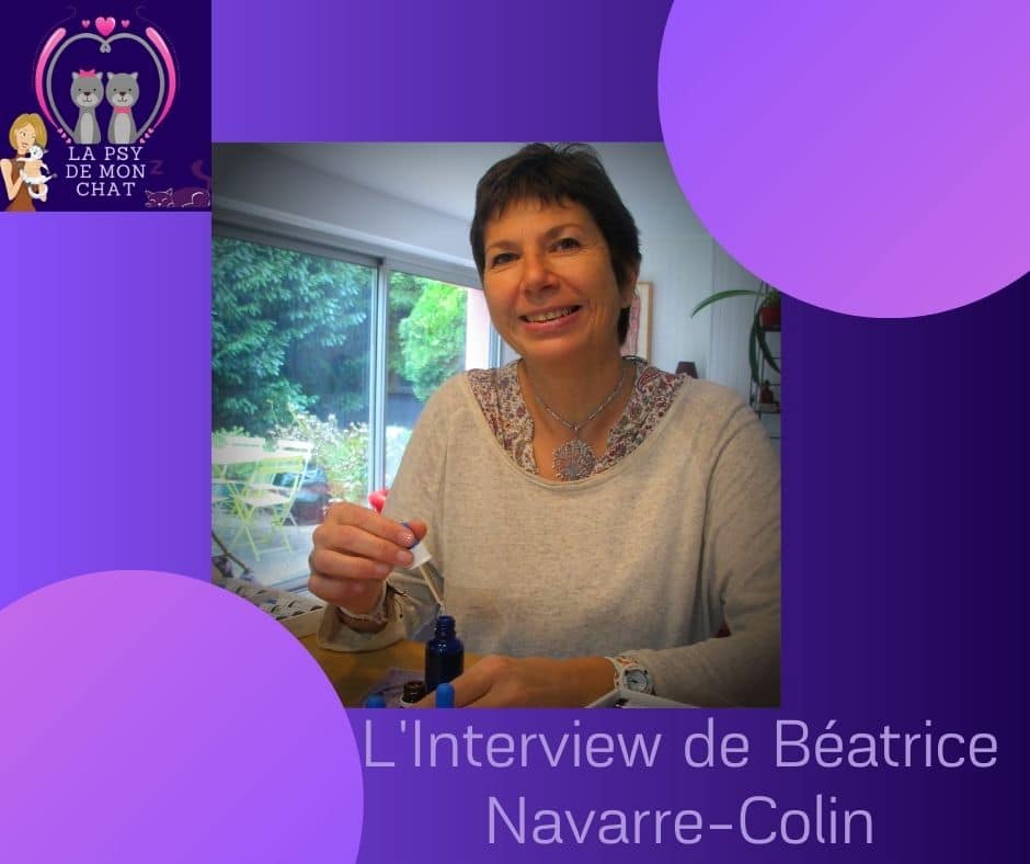 L’Interview de Béatrice Navarre-Colin