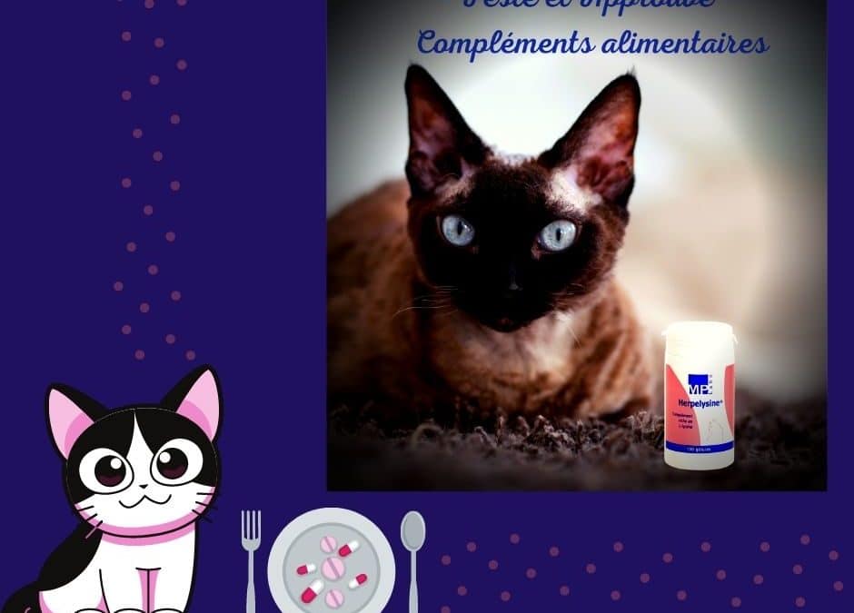 La Lysine pour chat de MP Labo