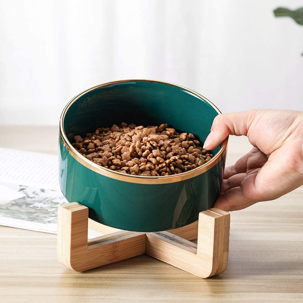 Lot De 4 Gamelles Plates En Céramique Pour Chat - Bol Fond Plat Anti-Moustaches - Faciles à Nettoyer