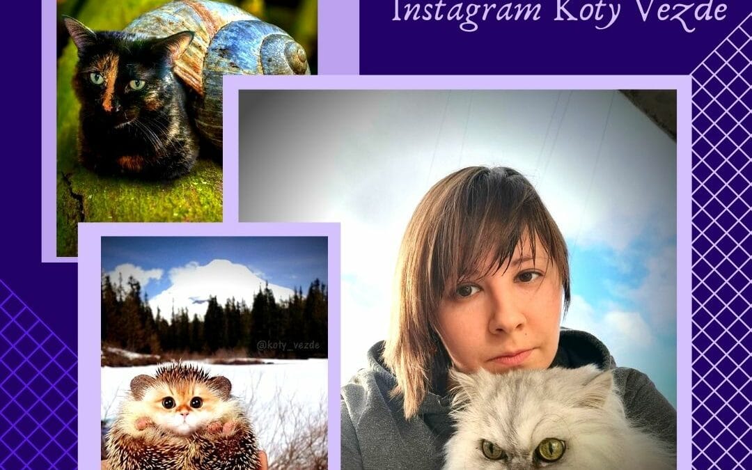 Galina Bugaevskaya du compte Instagram Koty Vezde