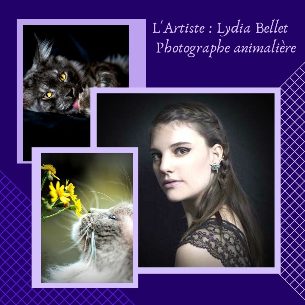 L'Artiste Lydia Bellet – Photographe animalière