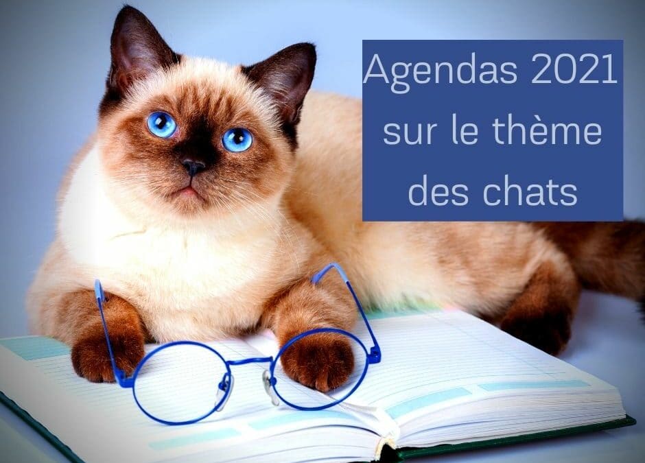 Agendas 2021 sur le thème des chats