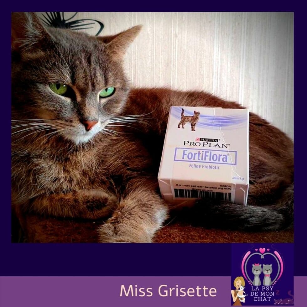 Fortiflora pour chat de chez Purina ProPlan La Psy de mon chat