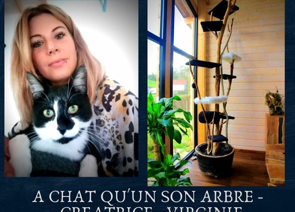 A chat qu’un son arbre : Arbres à chat en Bois massif