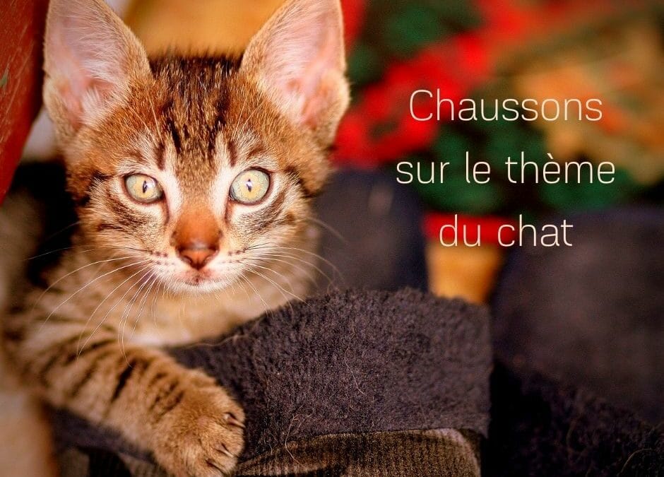 Chaussons sur le thème du chat