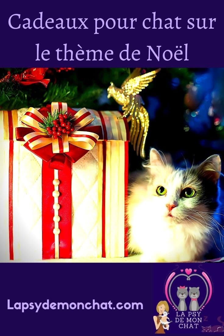 Cadeaux pour chat sur le thème de Noel - pinterest