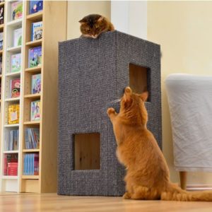 THE LUXE SCRATCHING TUBE de chez Cattree