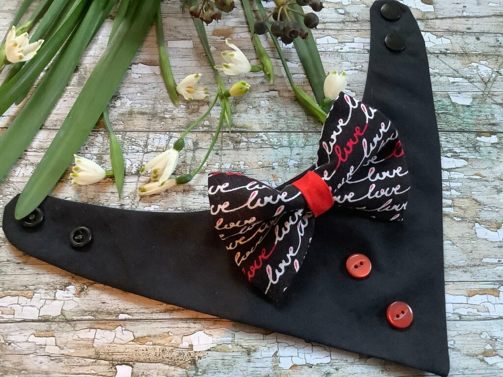 Bandana et noeud de smoking Bandana et noeud de smoking