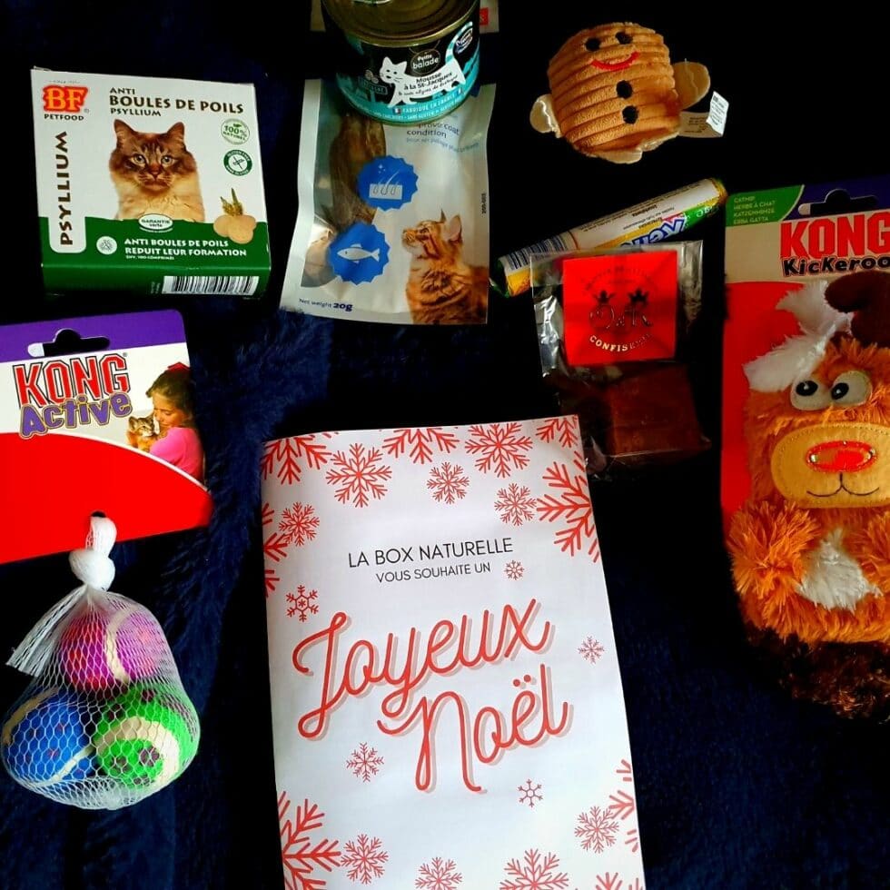 Box pour chat la Box naturelle (Test et Interview) La Psy de mon chat — free download