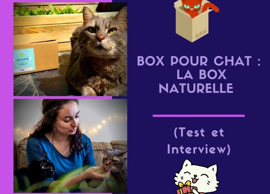 Box pour chat : la Box naturelle (Test et Interview)