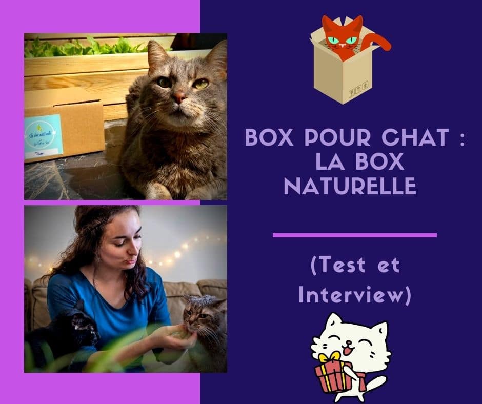 Box pour chat la Box naturelle (Test et Interview)