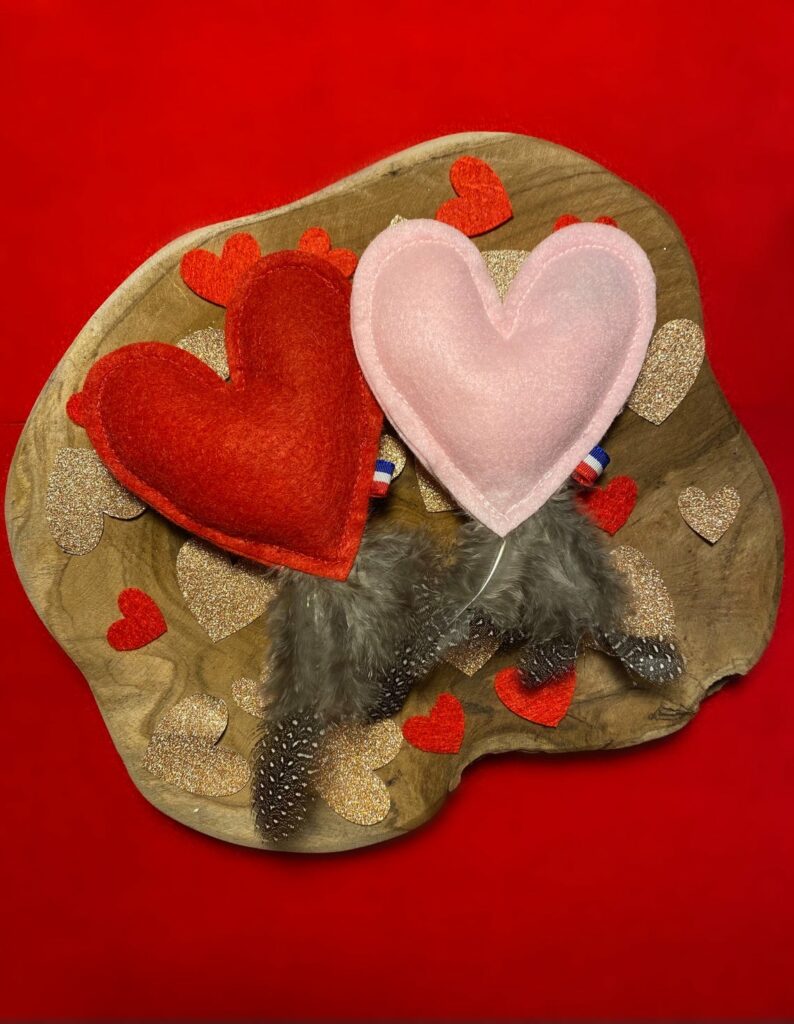 Coeur à plumes Coeur à plumes