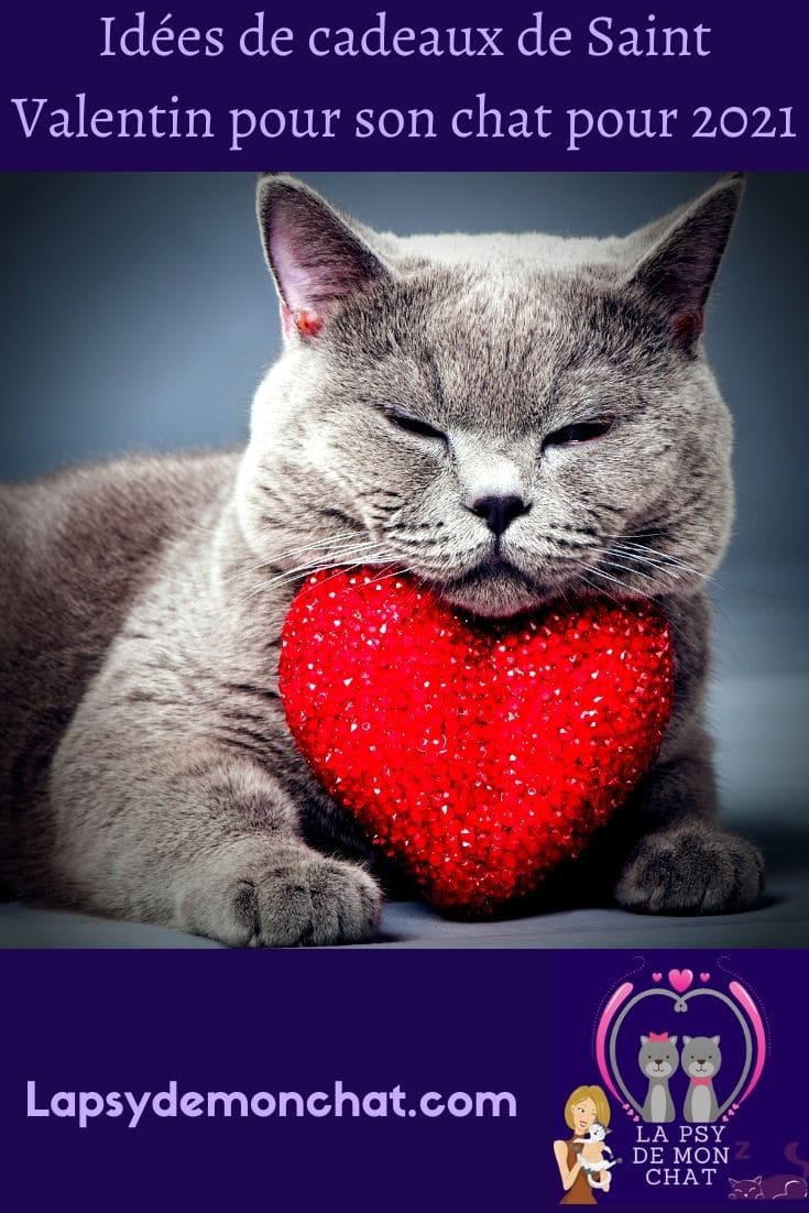 Idées de cadeaux de Saint Valentin pour son chat 2021 - pinterest