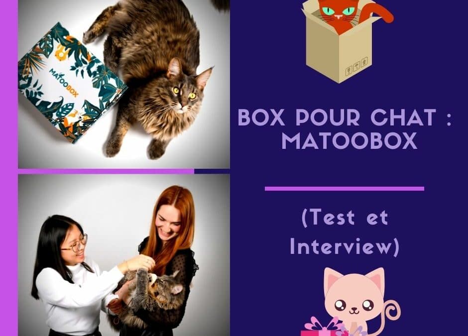 Box pour chat : Matoobox ( Test et Interview )