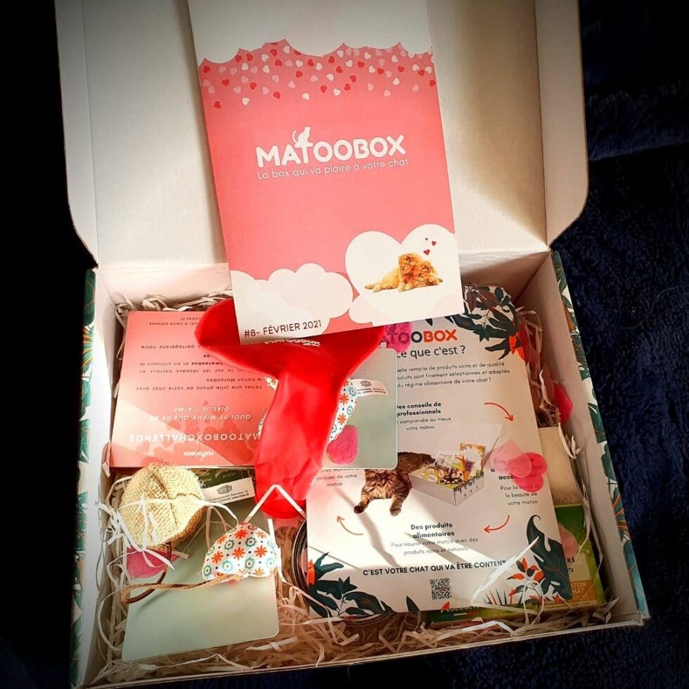 Box pour chat Matoobox ( Test et Interview ) La Psy de mon chat — free download