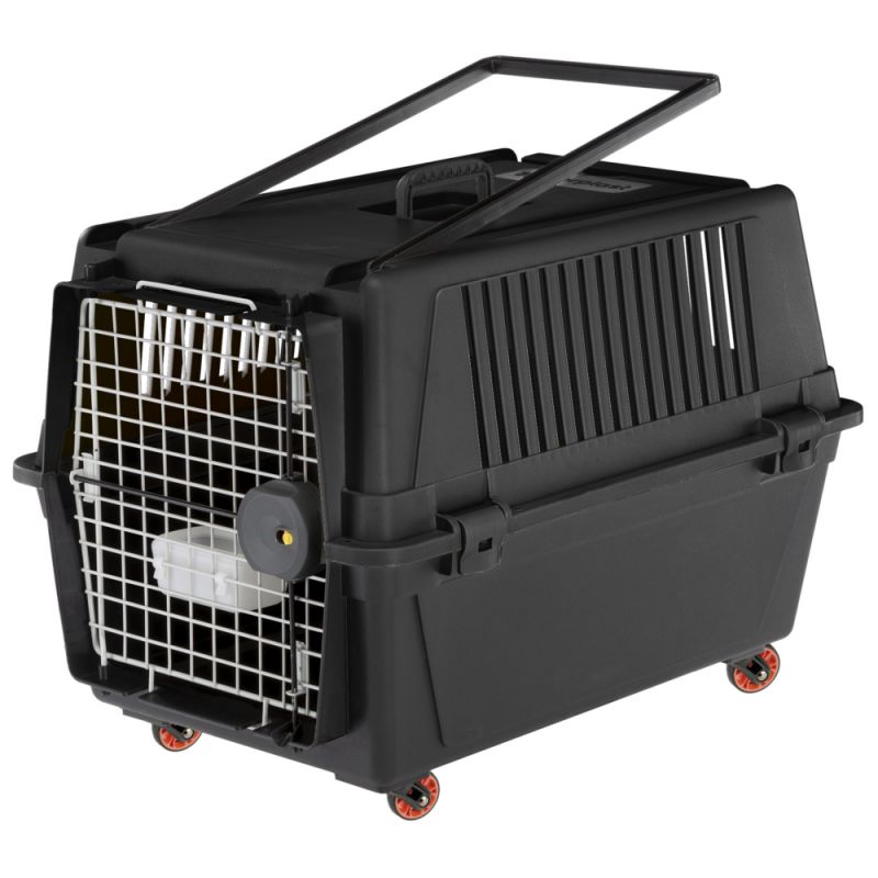 Une Caisse De Transport Id ale Pour Mon Chat La Psy De Mon Chat