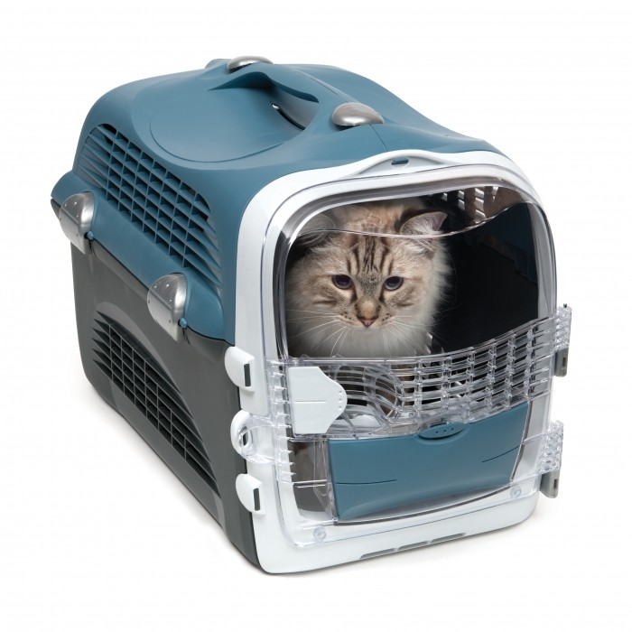 Une Caisse De Transport Id ale Pour Mon Chat La Psy De Mon Chat