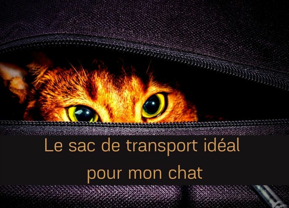 Un sac de transport idéal pour mon chat