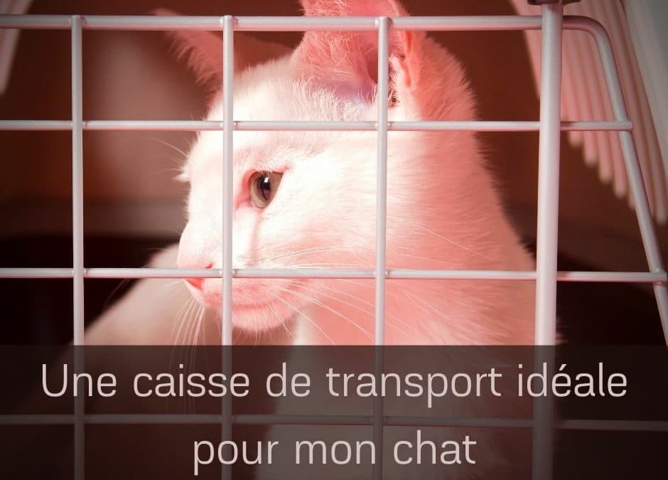 Une caisse de transport idéale pour mon chat