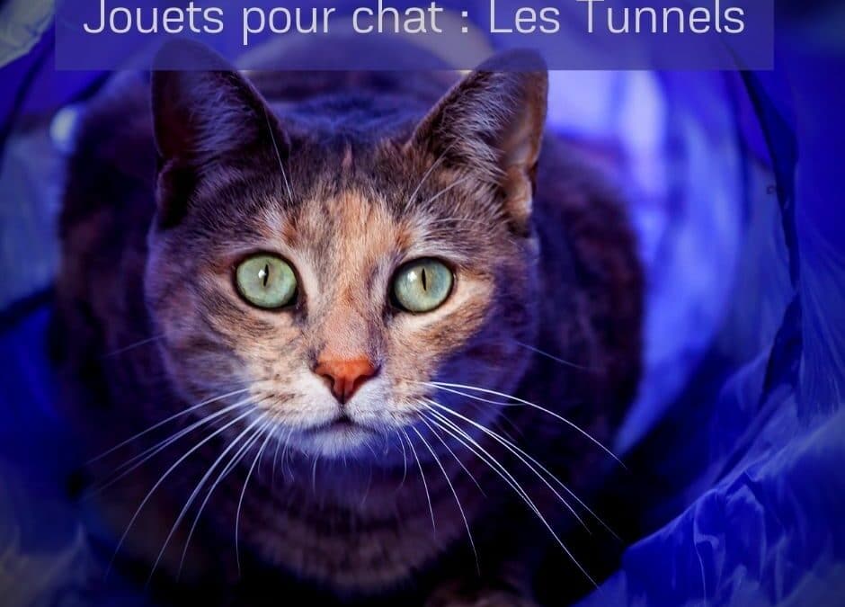 Jouets pour chat : Les tunnels