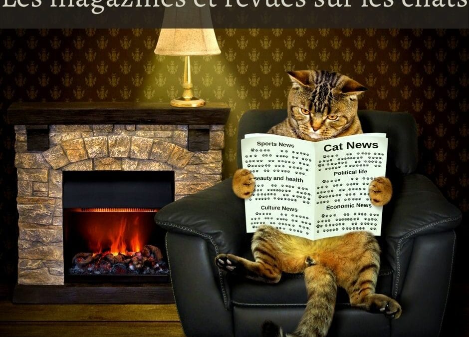 Les magazines et revues sur les chats