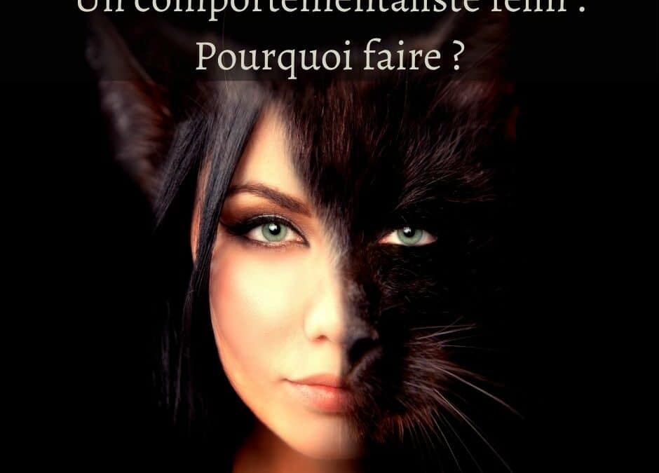 Un comportementaliste félin : Pourquoi faire ?