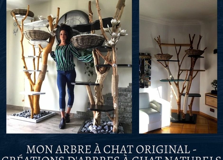 Mon arbre à chat original – Créations d’arbres à chat naturels