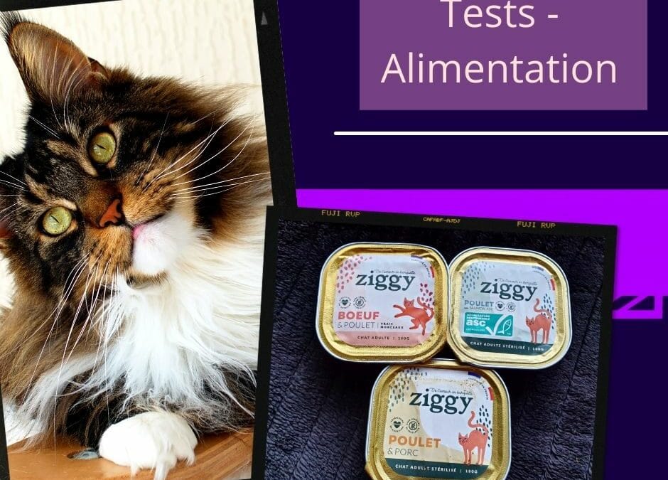 La marque Ziggy : pâtée pour chats