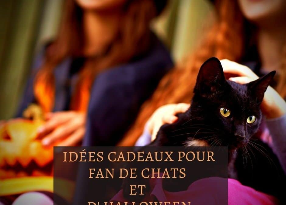 Idées cadeaux pour fan de chats et d’ Halloween
