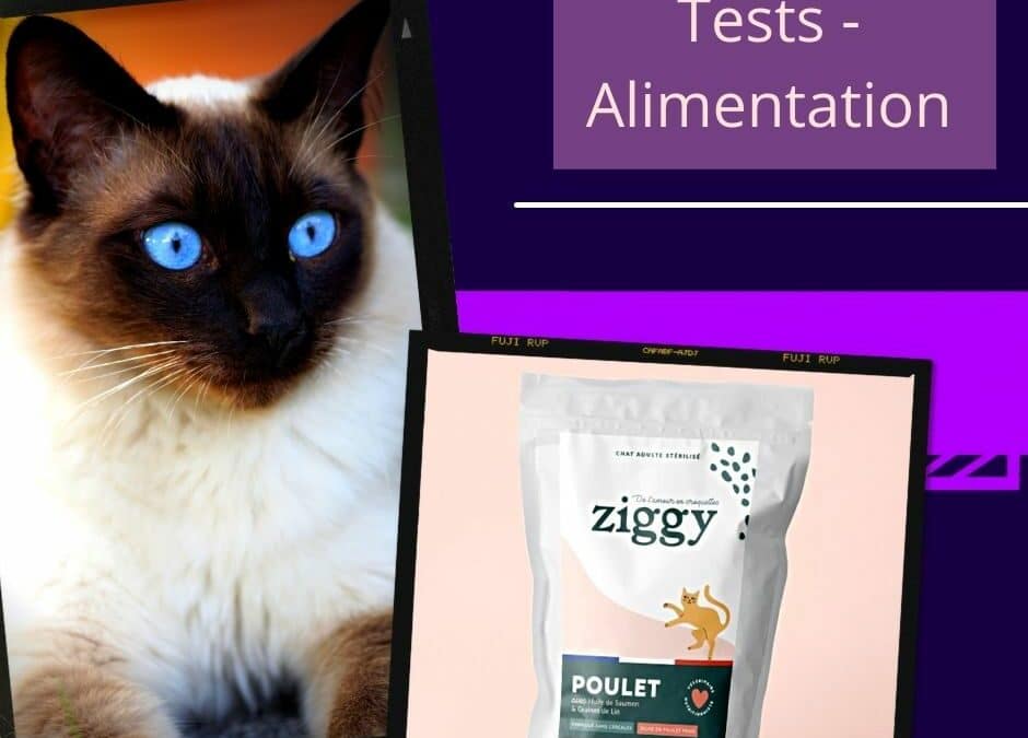 La marque Ziggy : les croquettes pour chat