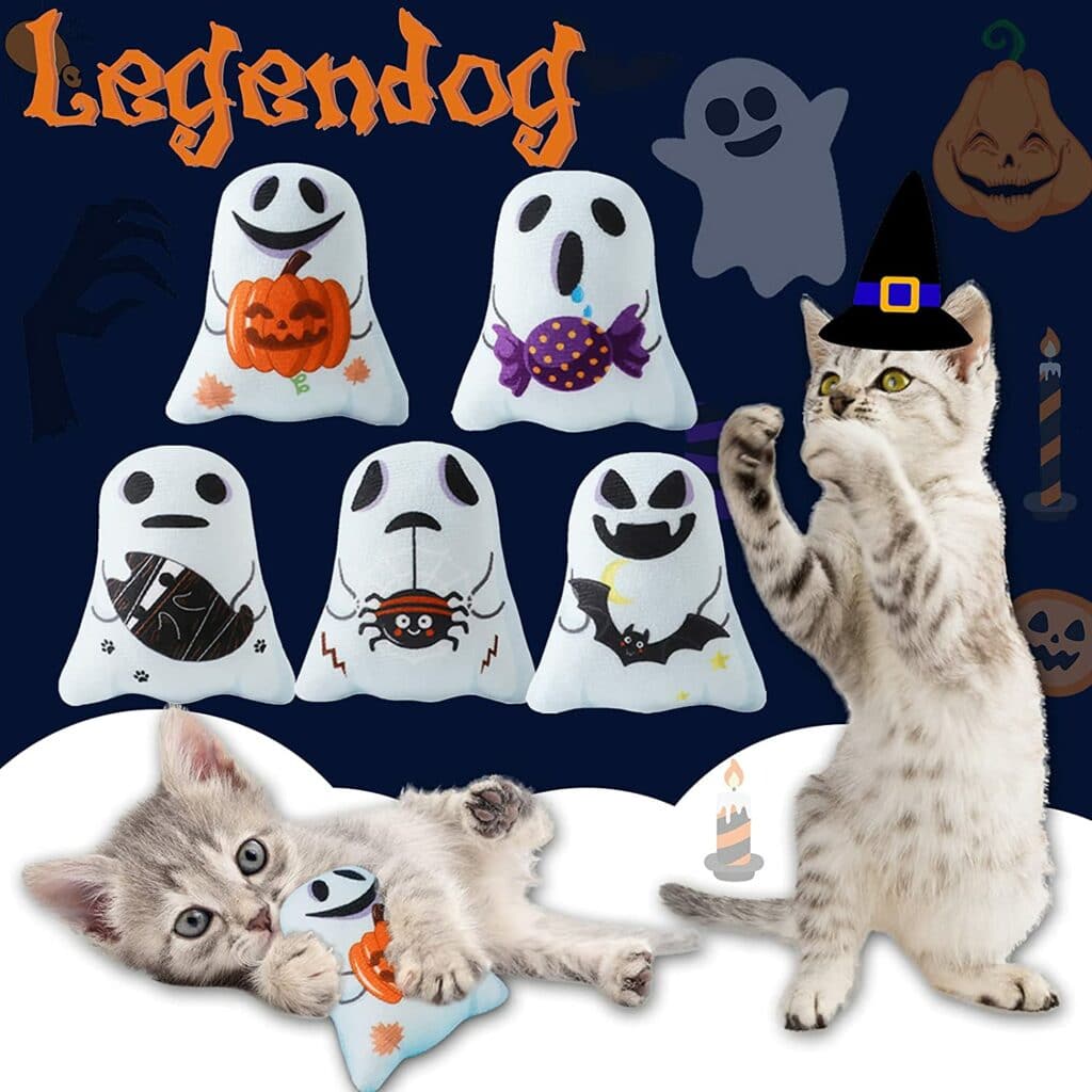 Lot de 5 petits coussins à herbe à chat pour Halloween Lot de 5 petits coussins à herbe à chat pour Halloween