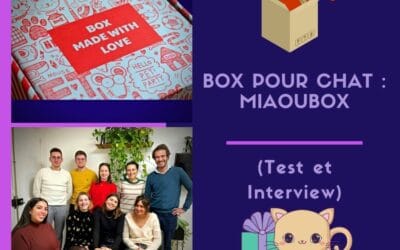 Box pour chat : Miaoubox ( Test et Interview )
